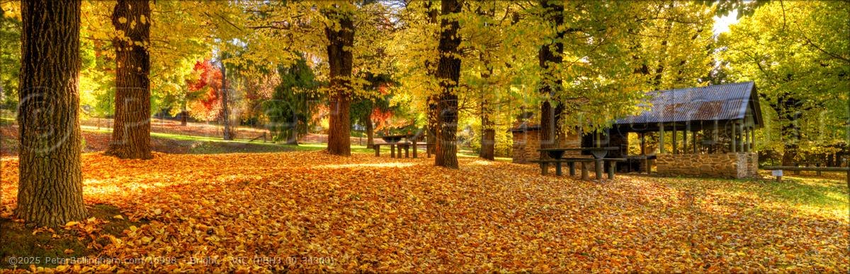 Peter Bellingham Photography Bright - VIC (PBH3 00 34300)